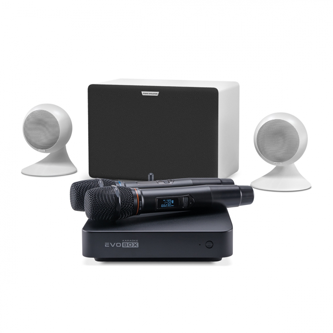 караоке-комплект EVOBOX Classic + EvoSound Sphere 2.1 в Коломне
