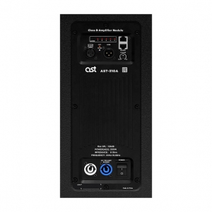 Активная акустическая система AST-310A в Коломне
