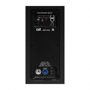 Активная акустическая система AST-312A в Коломне